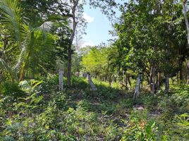 Terrain à vendre à Othon P Blanco, Quintana Roo, Othon P Blanco