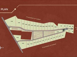  Terreno (Parcela) en venta en Yaxkukul, Yucatán, Yaxkukul