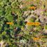  Land for sale in Dist Pochutla, Oaxaca, Dist Pochutla