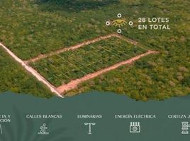 Terrain à vendre à Merida, Yucatan, Merida, Yucatan