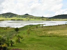  Grundstück zu verkaufen in Tapalpa, Jalisco, Tapalpa