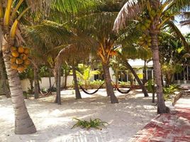 15 Habitación Casa en venta en Cozumel, Quintana Roo, Cozumel