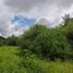  Land for sale in Tenango Del Valle, Mexico, Tenango Del Valle