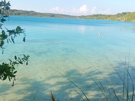 Grundstück zu verkaufen in Othon P Blanco, Quintana Roo, Othon P Blanco