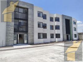 2 Schlafzimmer Appartement zu verkaufen in Toluca, Mexico, Toluca