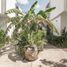 5 Habitación Apartamento en venta en Cozumel, Quintana Roo, Cozumel, Quintana Roo