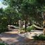 3 Habitación Departamento en venta en Cozumel, Quintana Roo, Cozumel, Quintana Roo