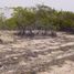  Terreno (Parcela) en venta en Isla Mujeres, Quintana Roo, Isla Mujeres, Quintana Roo
