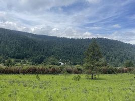  Grundstück zu verkaufen in Lerma, Mexico, Lerma, Mexico