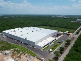  Terreno (Parcela) en venta en Merida, Yucatán, Merida