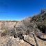  Terreno (Parcela) en venta en La Paz, Baja California Sur, La Paz, Baja California Sur