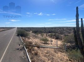  Terreno (Parcela) en venta en La Paz, Baja California Sur, La Paz, Baja California Sur