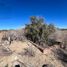  Terreno (Parcela) en venta en La Paz, Baja California Sur, La Paz, Baja California Sur