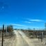  Terreno (Parcela) en venta en La Paz, Baja California Sur, La Paz, Baja California Sur