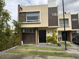 3 Schlafzimmer Villa zu verkaufen in Temoaya, Mexico, Temoaya