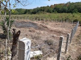  Grundstück zu verkaufen in Dist Pochutla, Oaxaca, Dist Pochutla