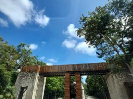  Terreno (Parcela) en venta en Cozumel, Quintana Roo, Cozumel