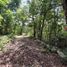  Terreno (Parcela) en venta en Cozumel, Quintana Roo, Cozumel