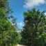  Terreno (Parcela) en venta en Cozumel, Quintana Roo, Cozumel