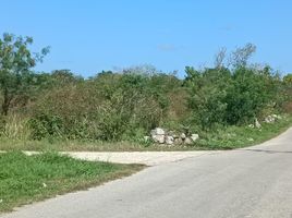  Grundstück zu verkaufen in Ixil, Yucatan, Ixil