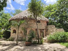 1 Bedroom House for sale in Temozon, Yucatan, Temozon