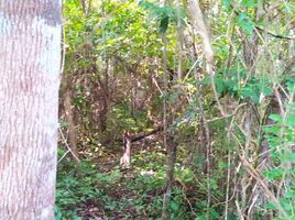 Terrain à vendre à Othon P Blanco, Quintana Roo, Othon P Blanco