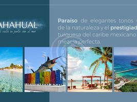  Grundstück zu verkaufen in Othon P Blanco, Quintana Roo, Othon P Blanco