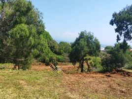  Land for sale in Huitzilac, Morelos, Huitzilac