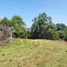  Land for sale in Huitzilac, Morelos, Huitzilac