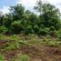  Land for sale in Valladolid, Yucatan, Valladolid