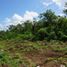  Land for sale in Valladolid, Yucatan, Valladolid