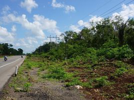  Land for sale in Valladolid, Yucatan, Valladolid