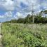  Terreno (Parcela) en venta en Chemax, Yucatán, Chemax