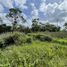  Terreno (Parcela) en venta en Chemax, Yucatán, Chemax