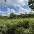  Terreno (Parcela) en venta en Chemax, Yucatán, Chemax