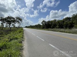  Terreno (Parcela) en venta en Chemax, Yucatán, Chemax
