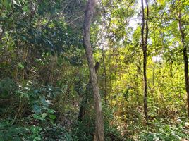  Grundstück zu verkaufen in Othon P Blanco, Quintana Roo, Othon P Blanco