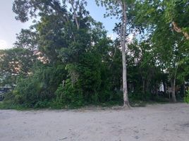 Grundstück zu verkaufen in Cozumel, Quintana Roo, Cozumel