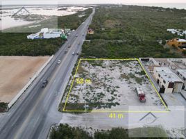 Studio Haus zu verkaufen in Chicxulub Pueblo, Yucatan, Chicxulub Pueblo, Yucatan