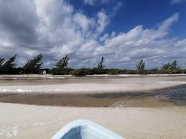  Grundstück zu verkaufen in Isla Mujeres, Quintana Roo, Isla Mujeres