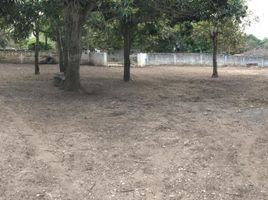 Terrain à vendre à Altamira, Tamaulipas, Altamira