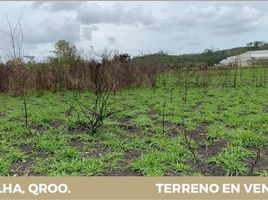  Terrain for sale in Othon P Blanco, Quintana Roo, Othon P Blanco