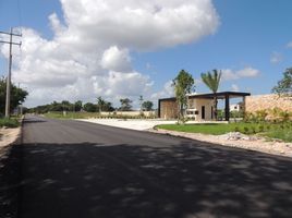  Grundstück zu verkaufen in Yaxkukul, Yucatan, Yaxkukul