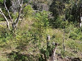  Grundstück zu verkaufen in Joquicingo, Mexico, Joquicingo