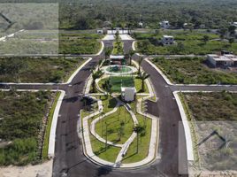 Terrain à vendre à Tixpehual, Yucatan, Tixpehual