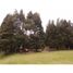 Terrain à vendre à Medellin, Antioquia, Medellin, Antioquia