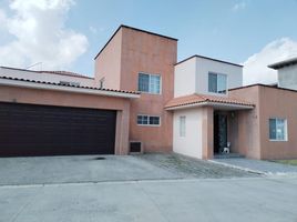 4 Schlafzimmer Haus zu verkaufen in Toluca, Mexico, Toluca