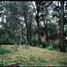  Land for sale in Huitzilac, Morelos, Huitzilac