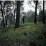  Land for sale in Huitzilac, Morelos, Huitzilac