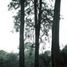  Land for sale in Huitzilac, Morelos, Huitzilac